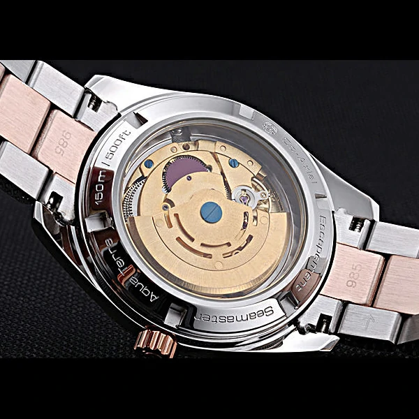 Omega Seamaster Brown Dial Two Tone new60066